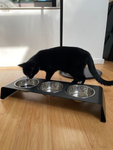 Futterstation mit 3 Näpfen Schwarz